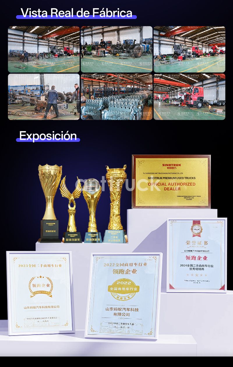 Camión Volquete Sinotruk HOWO NX 8X4 Usado