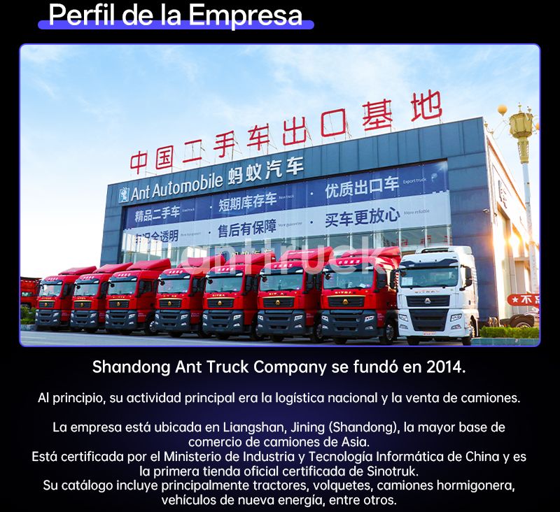 Camión Volquete Sinotruk HOWO NX 8X4 Usado